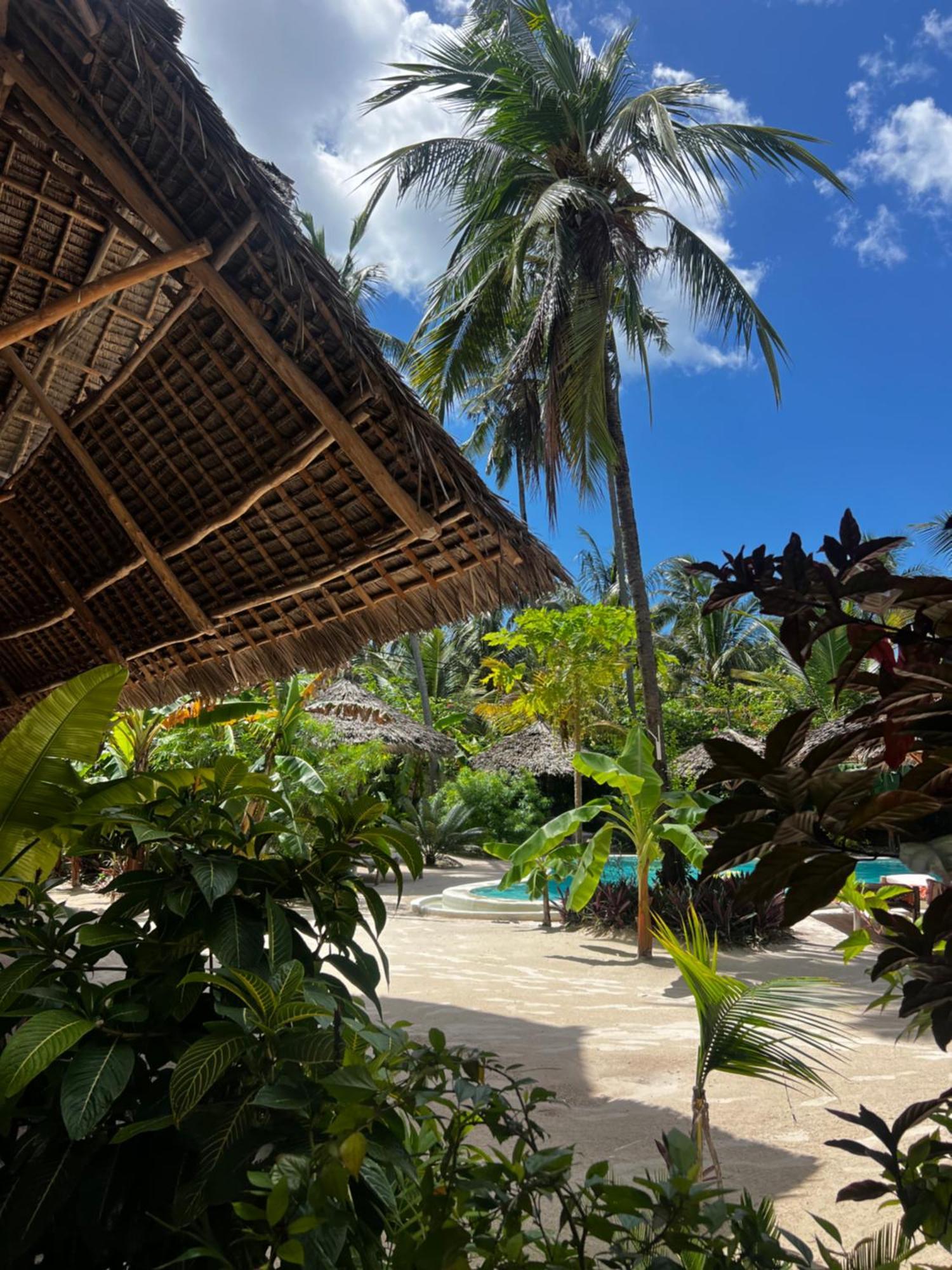 Villa Boutique Unaweza